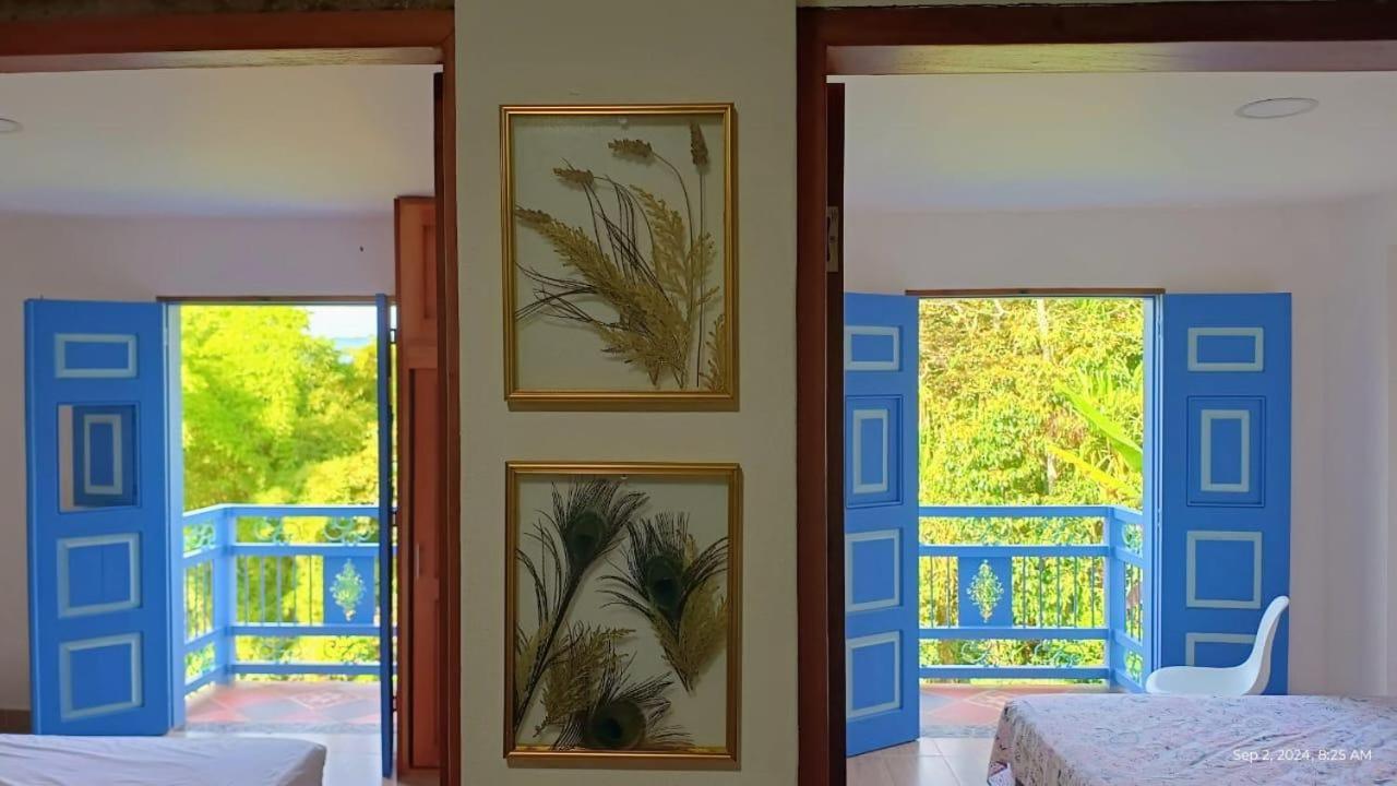 Apartment Carolina 3 *